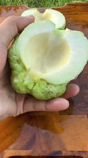 ฝรั่งกิมจู #fruit