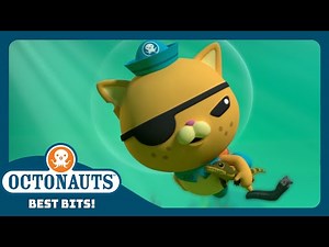 ‪@Octonauts‬ - 😼 Kwazii Protects a Baby Gator From a Hungry Mob 🐊 | Season 4 | Best Bits!
