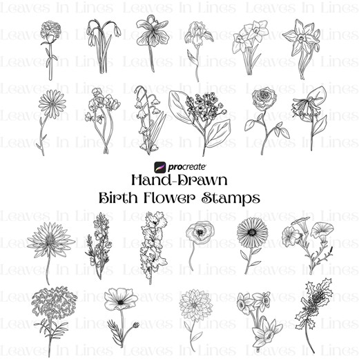 23 Birth Flower Procreate Stamps, Floral Line Art Brushes for iPad (digital Download) - Etsy