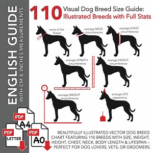 Illustrated Dog Breed Size Guide: 110 Breeds Chart (A0, A4, Letter PDF) - Etsy
