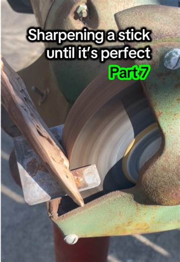 Perfectly Sharpening a Stick: ASMR Experience