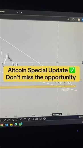 Bitcoin vs Altcoins: Understand the Differences