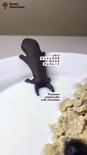 コサジサンショウウオのミルクチョコレート - 不思議な動物のチョコお菓子