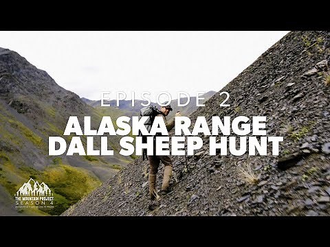 We Found Rams!! - Ep. 2 - Hunting Dall Sheep In Alaska