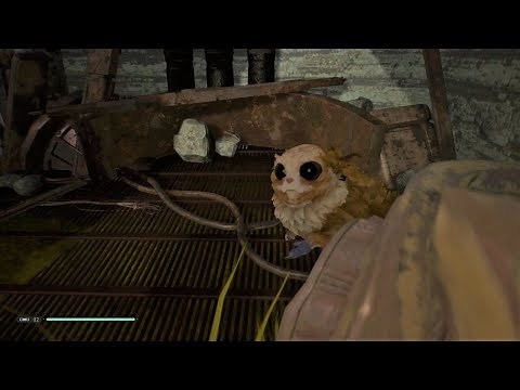 Bogling Companion - Star Wars Jedi: Fallen Order
