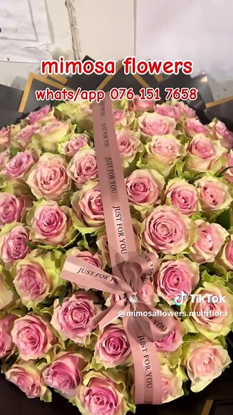 Explore Mimosa Multiflora Flower Market in Johannesburg