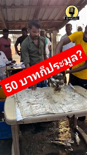 In Indian fish markets, sales are so fast it's like a competitive auction. #InterestingFacts #Gen...