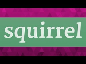 SQUIRREL pronunciation • How to pronounce SQUIRREL