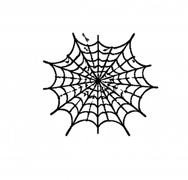 Spider Web SVG Bundle – 24 Unique Black Outline Cobweb Icons, Bold Line Art, White Background, Cricut Silhouette, Dxf, Jpg, Png and Eps - Etsy