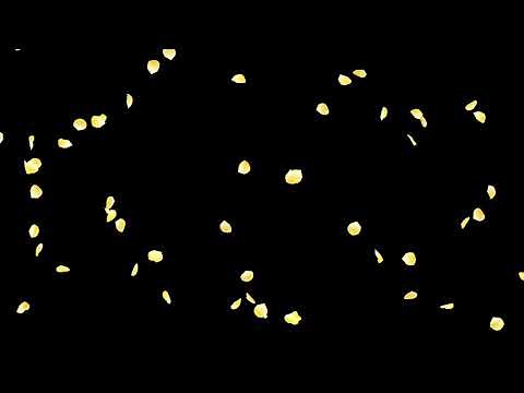 Falling Rose Petals Yellow HD Animation
