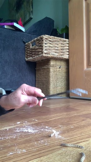 #Gapeto #FYP #Trending #Reptiles #Pet #foryoupage #sombre