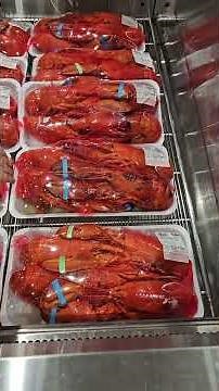 COSTCO FINDS 😲 2025