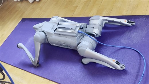 go2_stand_example.py 宇树机器狗 go2 python 示例代码