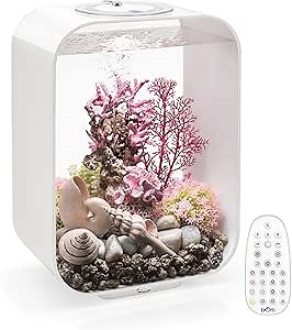 biOrb AIR 30, Fully Automated Terrarium for Arid, Temperate, or Tropical Plants, White