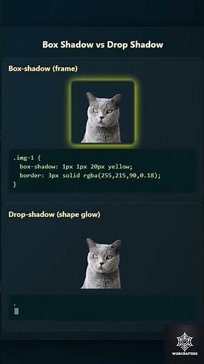 Box Shadow vs Drop Shadow in CSS