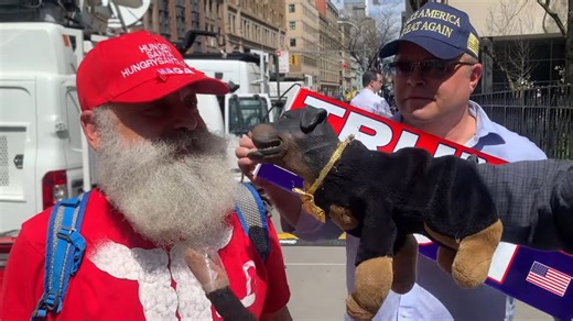 Triumph the Insult Comic Dog: Comedy Gold Outside of Trump's NYC Trial