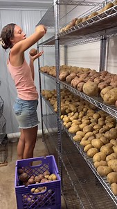 If you actually went to the grocery store and filled your cart with all the food that you would need for an entire year, you might just be surprised.😄 #Homesteading #OrganicGardening #FoodSecurity #FoodPreservation #Herbalism #GrowYourOwnFood #SelfSustainable #Self-sufficiency #MoreThanFarmers #FoodIndependence #RealFoodMovement | More Than Farmers
