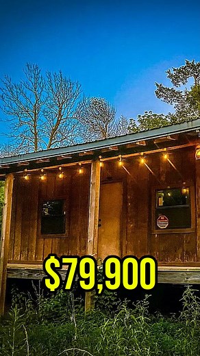 10 Acres Cozy Cabin in the Ozarks for JUST $79K! | House UNDER 100K