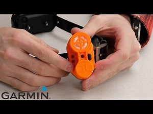 Support: Upland™ Beeper Pairing with a Pro 550