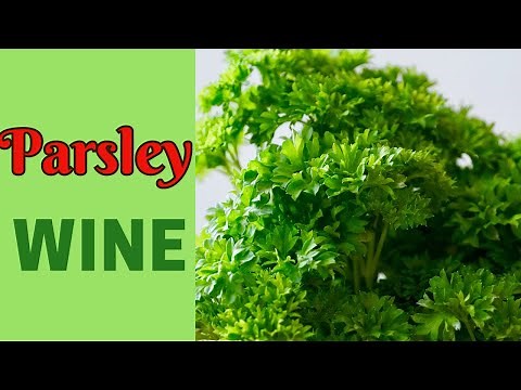 Parsley Wine Recipe and Method