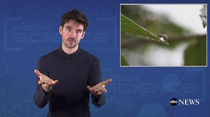 Inside Science’s key stories from September 2019