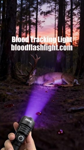 Blood Lights for Hunting Accessories and Gear