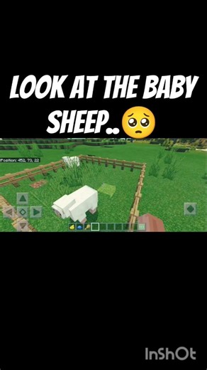 Minecraft Baby Sheep Moment #minecraft #viral
