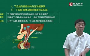 生理10章下丘脑的内分泌功能23分钟