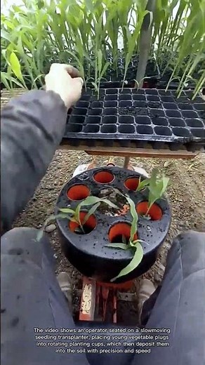 Transplanter Field Work | Operator‑Seated Seeder for Precision Agriculture