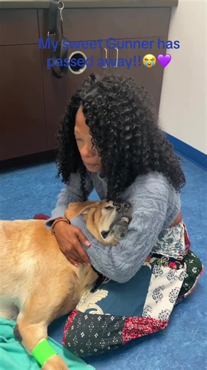 Remembering My Beloved Yellow Lab Gunner