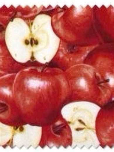 Exploring the Fascinating World of Cryptids