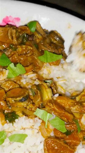 Harvesting weird shellfish off the rocks in remote Panamanian jungle!