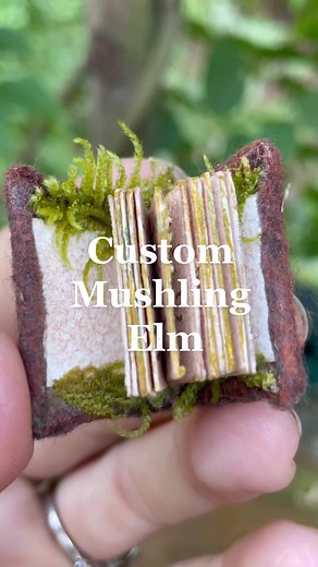 Custom Mushling Elm - Miniature Doll Design with Tea and Book