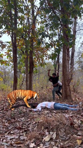 Tiger attack Vfx #vfx #animals #viral