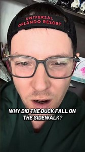 Why did the duck fall on the sidewalk!? #dadjokes #funny #laugh