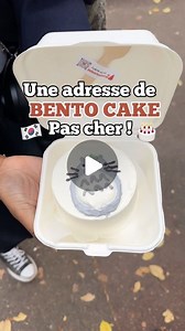 ONIGIRI SPICY 🍙 | CONTENT CREATOR | Des Bento cake totoro a 10€ ? 🥹🎂 C’est la tendance qui vient tout droit de Corée du Sud et qui devient de plus en plus populaire ! Des... | Instagram