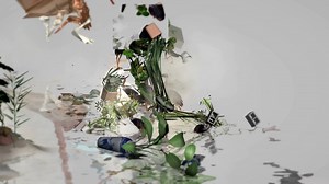 Thousand Islands Thousand Laws (15fps screen capture sample)