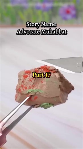 Discover Advocate Muhabbat: Part 17 of Faiha's Story