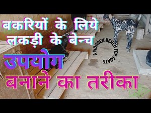 Benefits of sitting on a wooden bench for goats