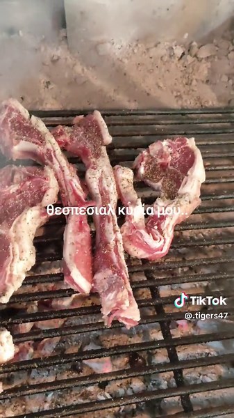 Ψήσιμο στον Κάρβουνο: Μυστικές Συνταγές BBQ | Πρόβειο Σουβλάκι και Μπριζόλες