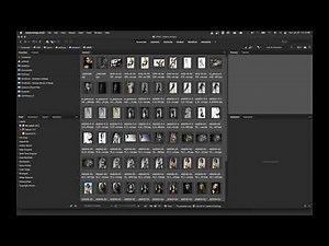 01-Adobe Bridge Introduction