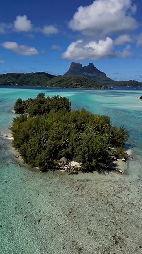 🇫🇷 Une expérience inoubliable à vivre à Bora Bora 🏝️Un déjeuner les pieds dans l’eau sur un îlot privé, avec une vue incroyable sur le plus beau lagon du monde 🩵Après une matinée à explorer les trésors marins de Bora Bora - raies manta, raies aigles et jardins de corail - votre guide vous emmène sur un motu où un moment hors du temps vous attend : un repas raffiné, berceau par les saveurs polynésiennes 🐠🥥Excursion disponible en version privée ou luxury, à vivre en duo, en famille ou entre