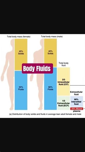 body fluids #bodyfluidsandcirculation #body #circulation #physiology #anatomy #medical #immunesystem