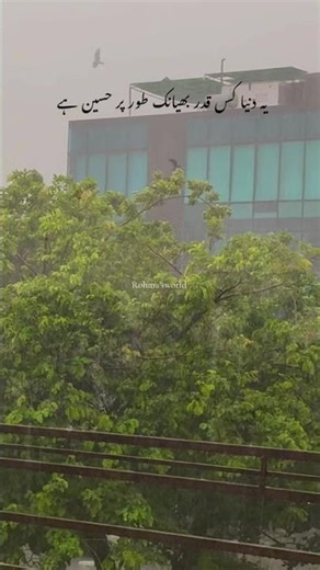 Exploring Nature: Unique Tree Perspectives Around the World | Don’t Forget to Like & Subscribe!