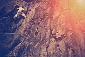 Algorand Surges as Foundation Incentivizes DeFi Activity on Algofi