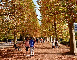 5 Fun facts about Korean couple culture in South Korea - Go! Go! Hanguk