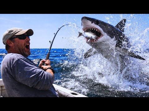 Unreal Fishing Moments Caught on Camera