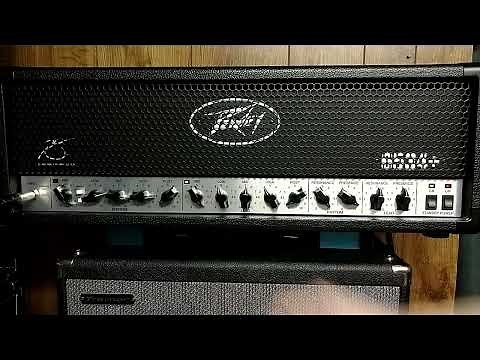 Peavey 6534+ Demo