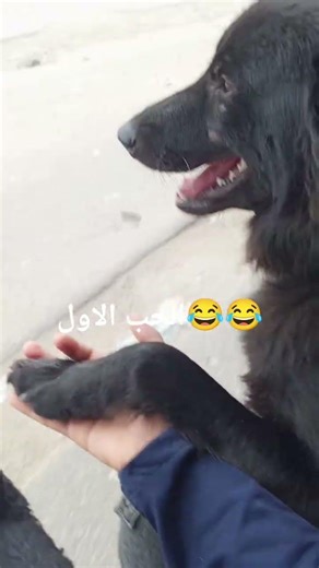 ٧ مارس ٢٠٢٦