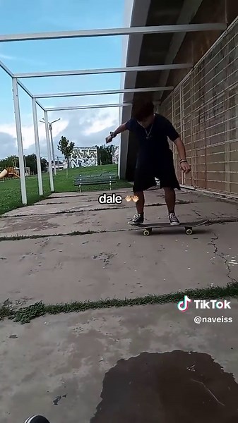 Divertidos Momentos de Skate con Mi Hermano